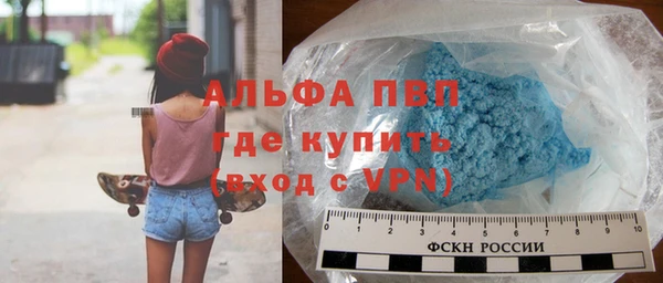 спиды Новодвинск